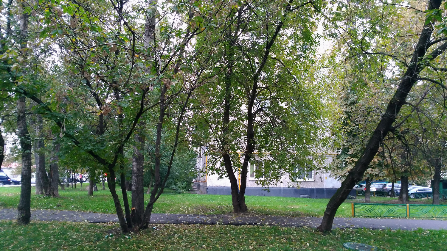 Обзор смартфона ASUS ZenFone 3 Laser - 28 Обзор смартфона ASUS ZenFone 3 Laser - 28