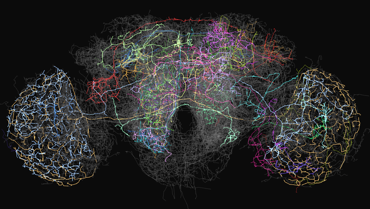 Исследователи из MIT научили нейронные сети аргументировать свои решения - 1