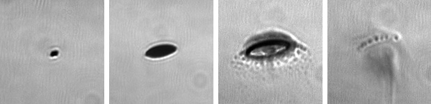 Ведущие производители чипов присматриваются к фотолитографии в глубоком ультрафиолете - 8