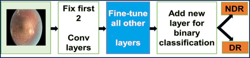 Deep Learning: Transfer learning и тонкая настройка глубоких сверточных нейронных сетей - 7