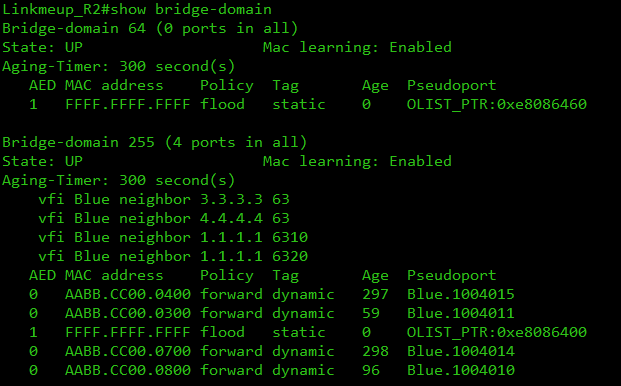 Сети для самых матёрых. Часть двенадцатая. MPLS L2VPN - 58