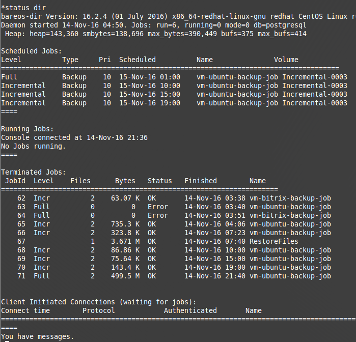 Бэкап VM ESXi средствами Bareos - 4