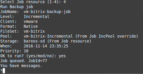 Бэкап VM ESXi средствами Bareos - 6 Бэкап VM ESXi средствами Bareos - 6
