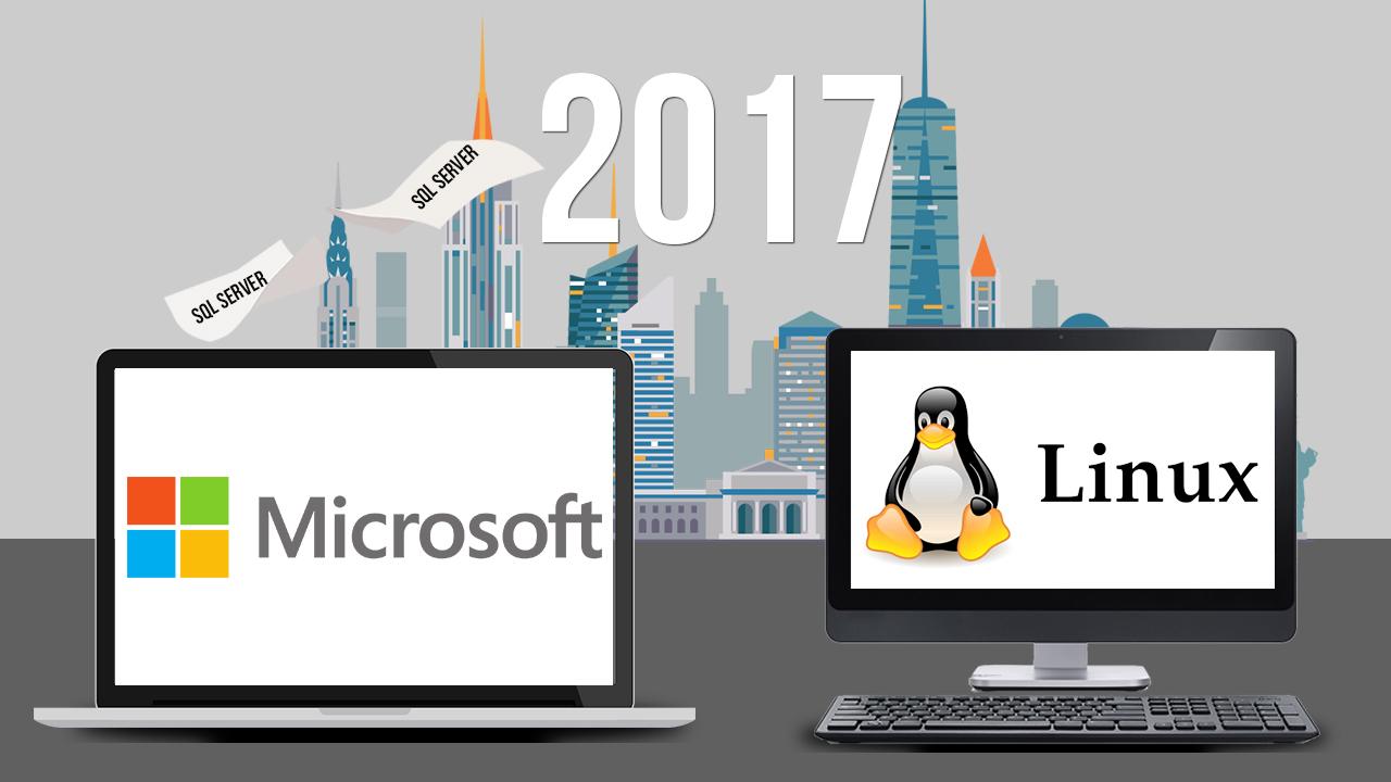 Microsoft SQL Server для Linux: мост между мирами Linux и Windows - 1