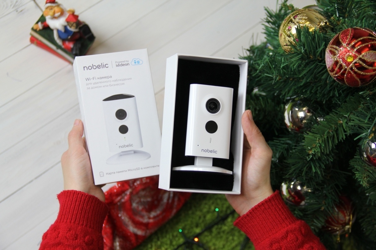Nobelic: как сделать камеру умной, домашней, долговечной - 4