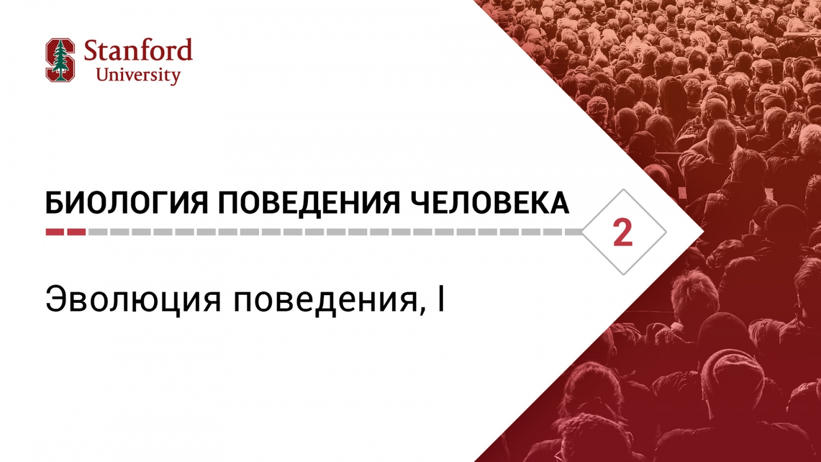 Биология поведения человека. Лекция #2. [Роберт Сапольски, 2010. Стэнфорд] - 1