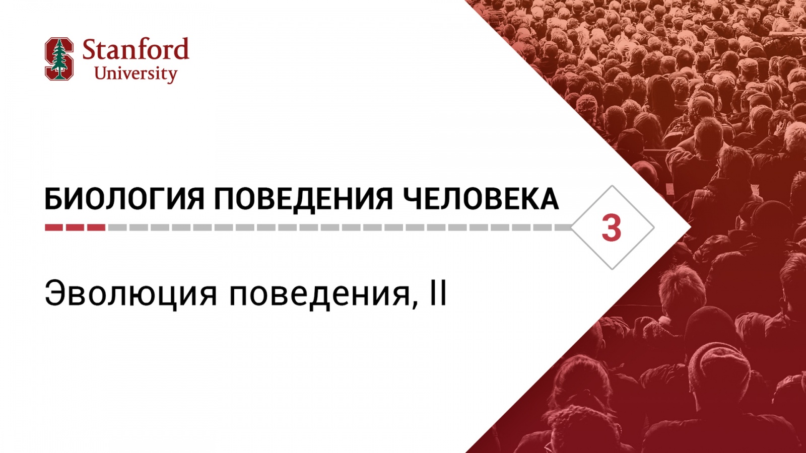 Биология поведения человека. Лекция #3. [Роберт Сапольски, 2010. Стэнфорд] - 1