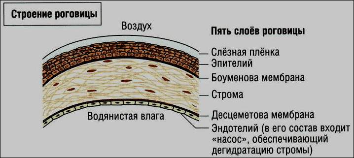 Ещё пара неочевидных вещей, которые вам могут не рассказать до лазерной коррекции зрения - 2