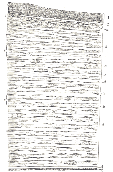 Ещё пара неочевидных вещей, которые вам могут не рассказать до лазерной коррекции зрения - 3 Ещё пара неочевидных вещей, которые вам могут не рассказать до лазерной коррекции зрения - 3