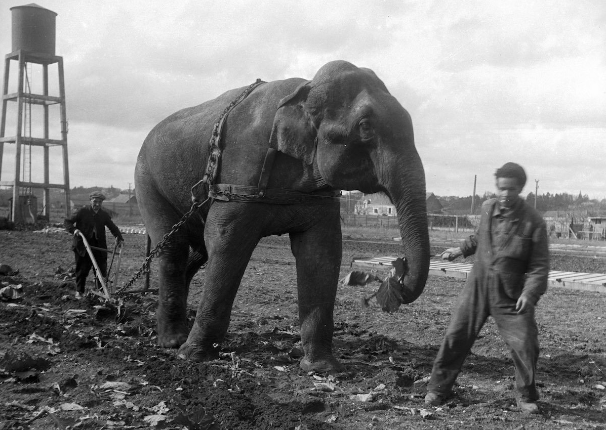 Оптимизация одного запроса с GROUP BY в PostgreSQL - 1 image