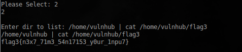 VulnHub: Разбор DC416 Dick Dastardly - 11