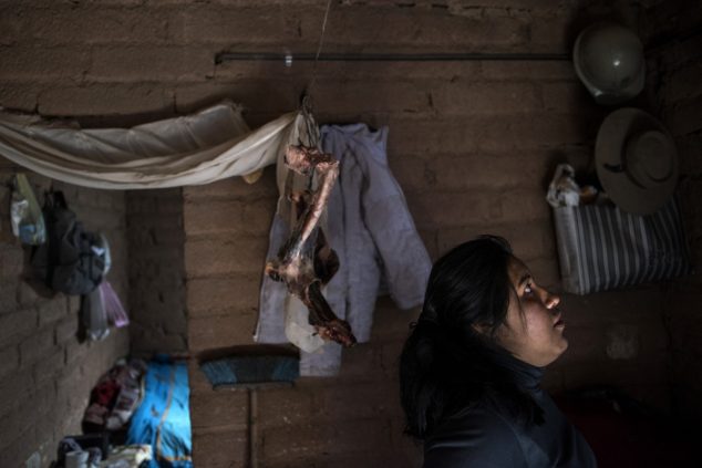 26-летняя Ремедио Сарапура в крошечном глинобитном жилище на окраине Сускеса. С потолка свисают кости ламы. Стадо лам, принадлежащее семье, сократилось вдвое из-за осушения пастбищ