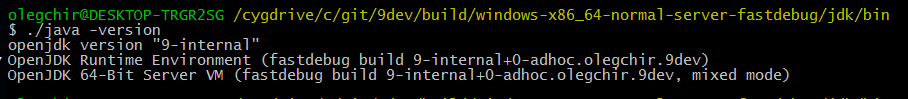 Пошаговая инструкция: сборка JDK9 из исходников на Windows 10 - 14