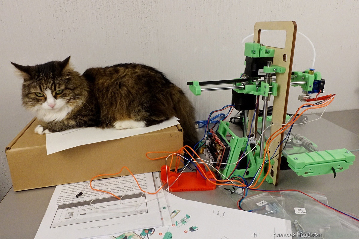 Модульный 3D-принтер «3D-Старт» как источник интереса 3D-кошки - 6