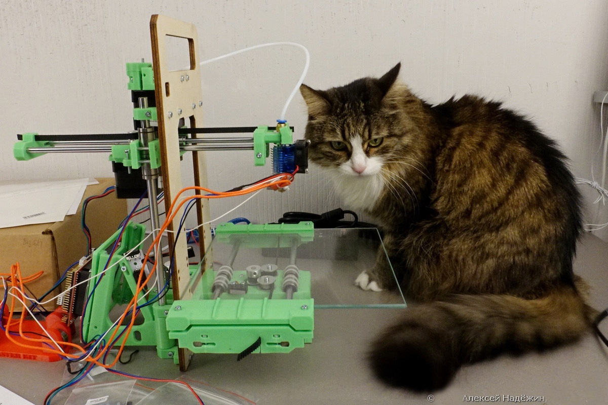 Модульный 3D-принтер «3D-Старт» как источник интереса 3D-кошки - 1