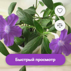 Верстка интернет-магазина: список товаров - 5 Верстка интернет-магазина: список товаров - 5