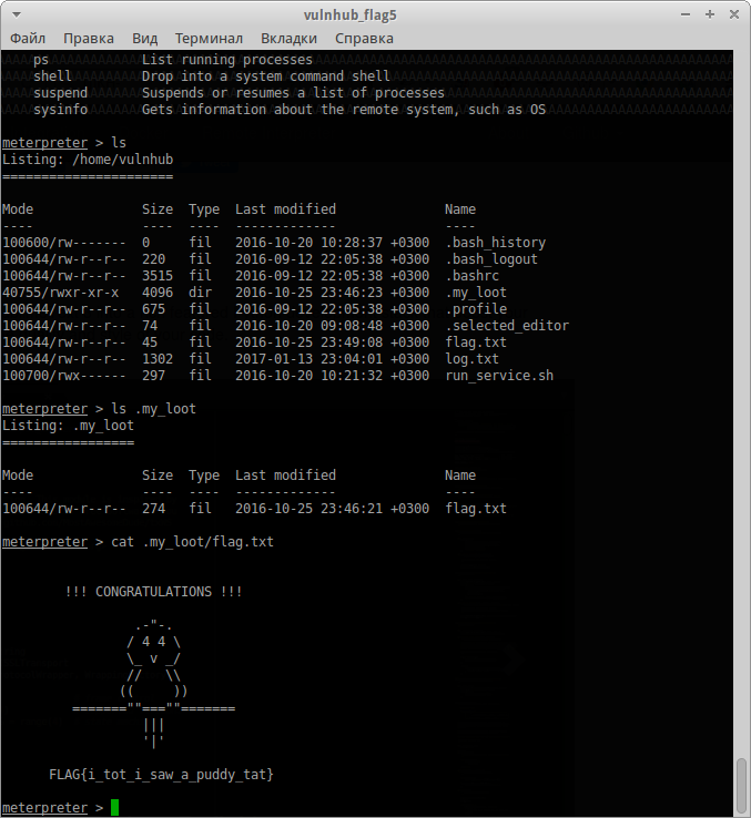 VulnHub: Реверсим всё что можно в DC416 Baffle - 18