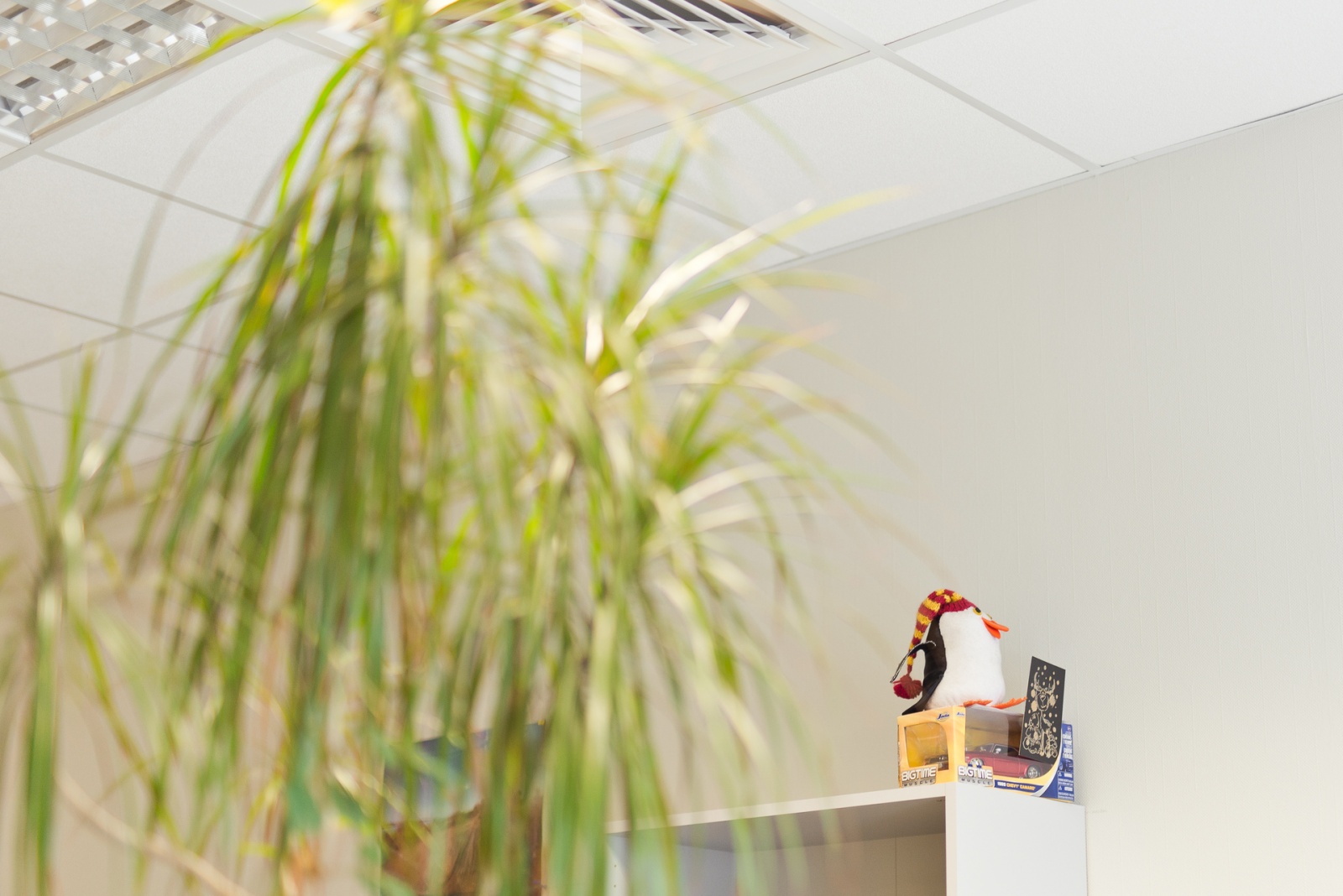 Из жизни параллелилиста - 11