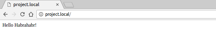 Установка и базовая настройка nginx и php-fpm для разработки проектов локально в Ubuntu 16.04 - 9 Установка и базовая настройка nginx и php-fpm для разработки проектов локально в Ubuntu 16.04 - 9