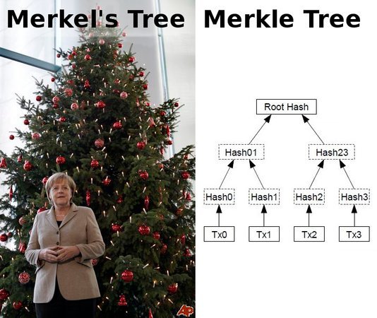 merkle