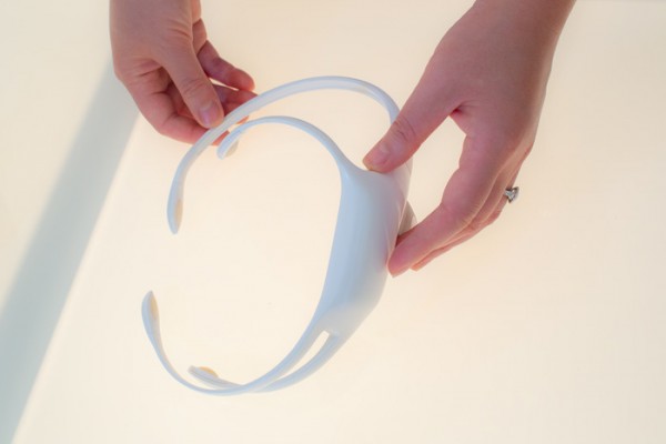 Краудфандинг собрал деньги на устройство для чтения мыслей собак, но гаджет не вышел - 6 image