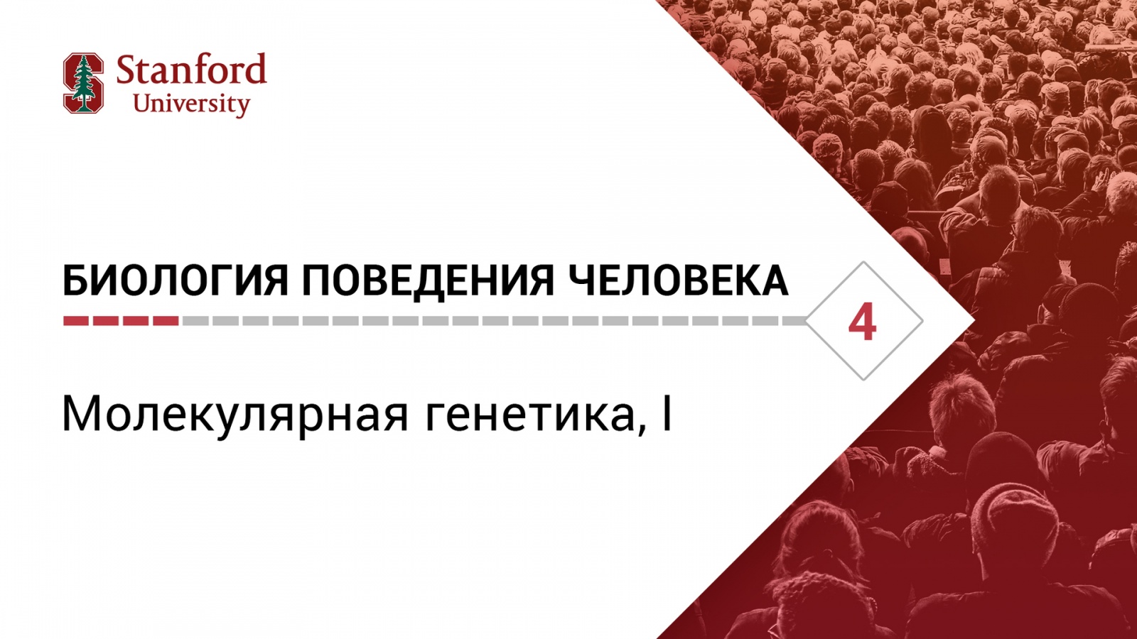 Биология поведения человека: Лекция #4. Молекулярная генетика, I [Роберт Сапольски, 2010. Стэнфорд] - 1