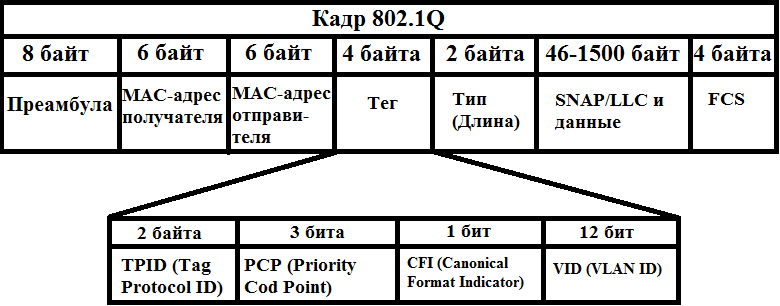 Основы компьютерных сетей. Тема №6. Понятие VLAN, Trunk и протоколы VTP и DTP - 10