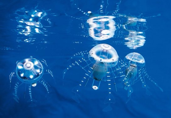 Ученые создали робота для захвата морских рыб