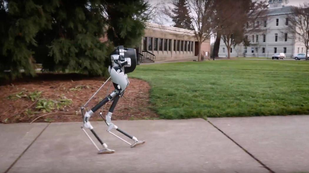 Agility Robotics продемонстрировала многофункционального робота-страуса - 1