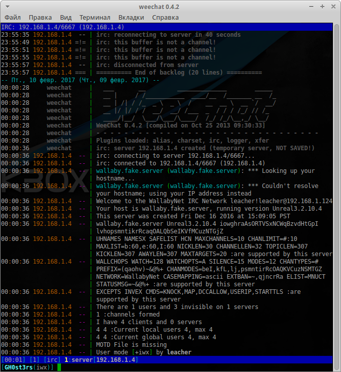 VulnHub: Выкидываем неугодных из IRC в Wallaby's Nightmare - 10
