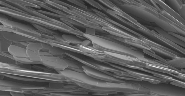 Странные подробности о строительных кирпичиках природы - 1 image