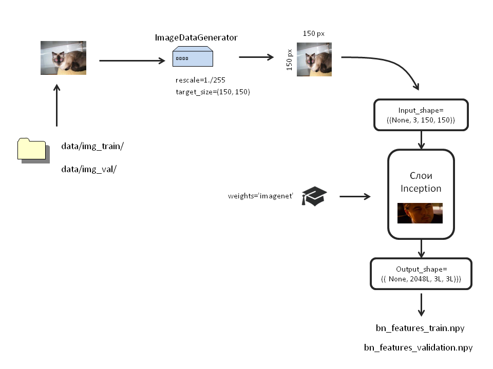 Создаём нейронную сеть InceptionV3 для распознавания изображений - 2