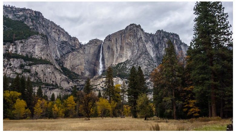 Как мы не прошли в Y Combinator “…план по прибыли простой — тут наркотики легальны, $70 косяк...” - 5 Как мы не прошли в Y Combinator “…план по прибыли простой — тут наркотики легальны, $70 косяк...” - 5