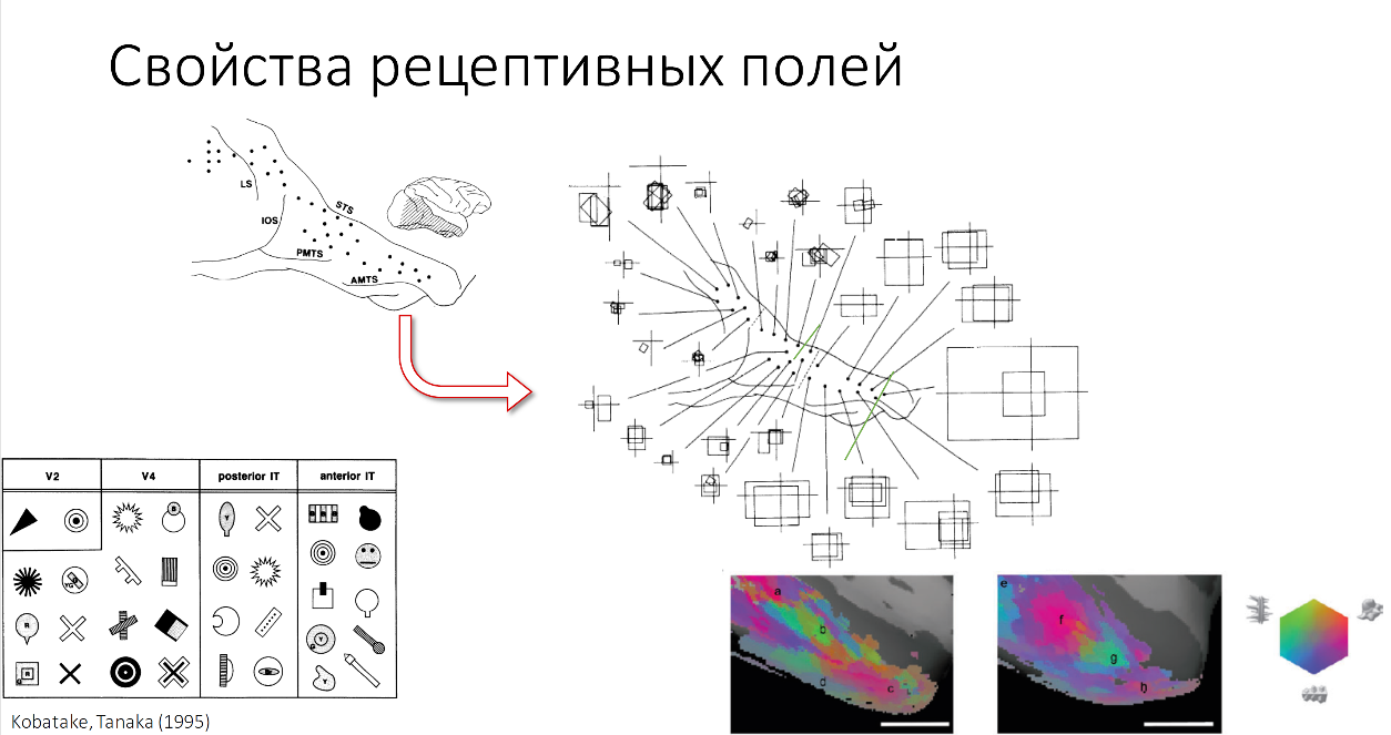 Нейронные сети: практическое применение - 3