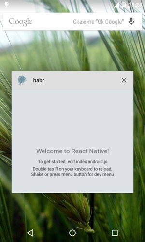 Как добавить AppIcon и LaunchScreen в приложение на React Native - 7