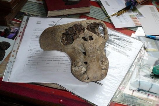 В Китае откопали странные черепа людей