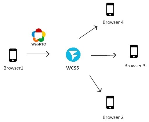 Развертывание многопользовательской WebRTC трансляции с web-камеры через сервер за 3 минуты - 2