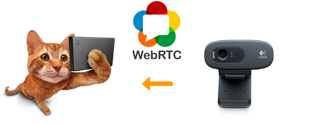 Развертывание многопользовательской WebRTC трансляции с web-камеры через сервер за 3 минуты - 1