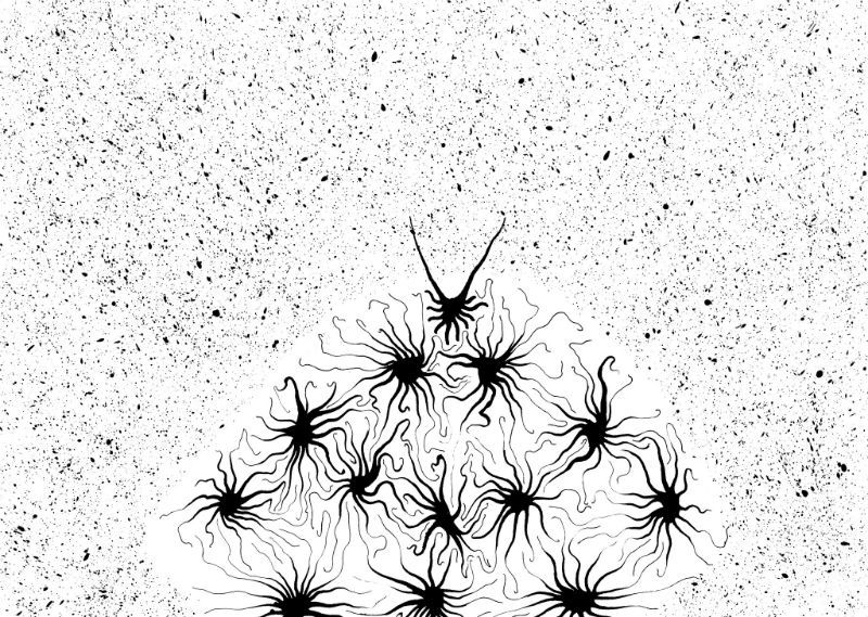 Как мы анализируем уязвимости с помощью нейронных сетей и нечеткой логики - 1 Как мы анализируем уязвимости с помощью нейронных сетей и нечеткой логики - 1