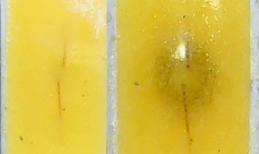 Короткая жизнь и эффектная смерть бюджетной светодиодной лампы - 11 image