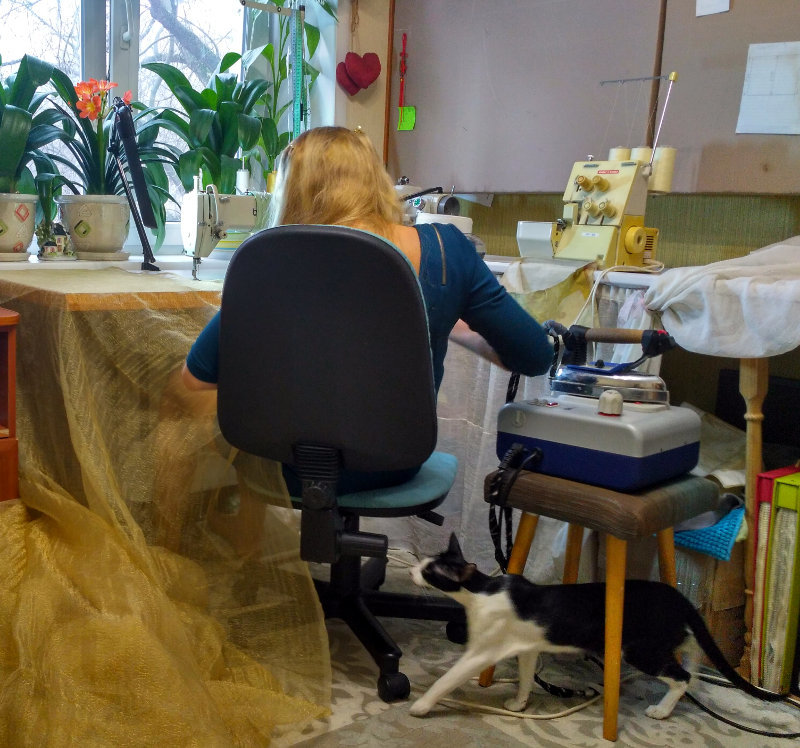 GitHub Pages для сайта-визитки на 8 марта - 4 GitHub Pages для сайта-визитки на 8 марта - 4