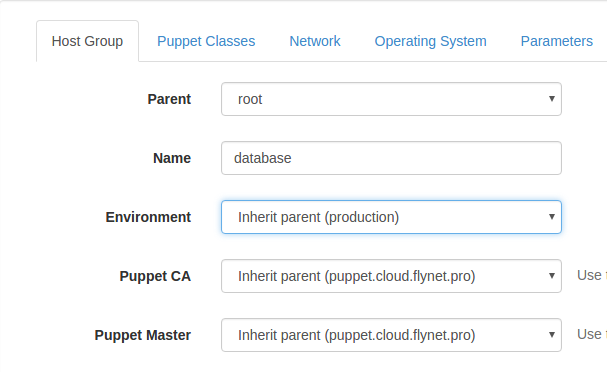 Установка и настройка Puppet + Foreman на Ubuntu 14.04 (пошаговое руководство) - 15