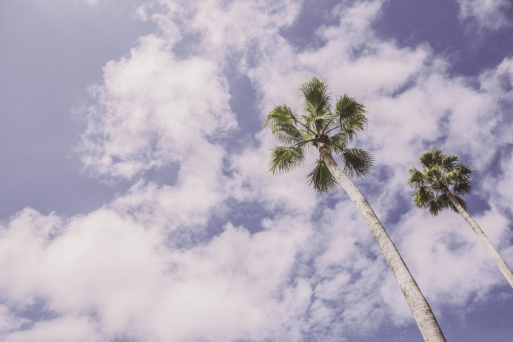 Все программисты попадают в #ТАЙ - 1 image