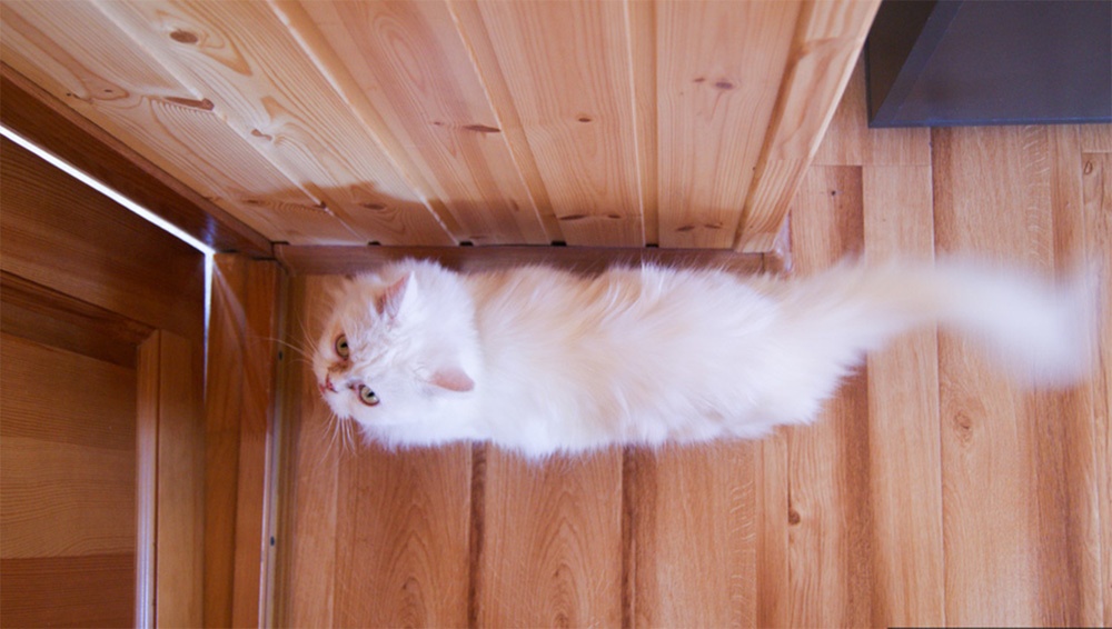 Обзор тепловизора Seek Thermal и его применение - 18