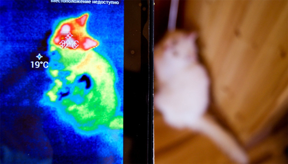 Обзор тепловизора Seek Thermal и его применение - 19