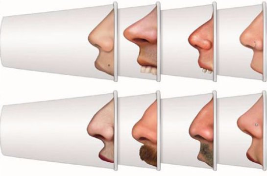 Климат влияет на форму и размер человеческого носа