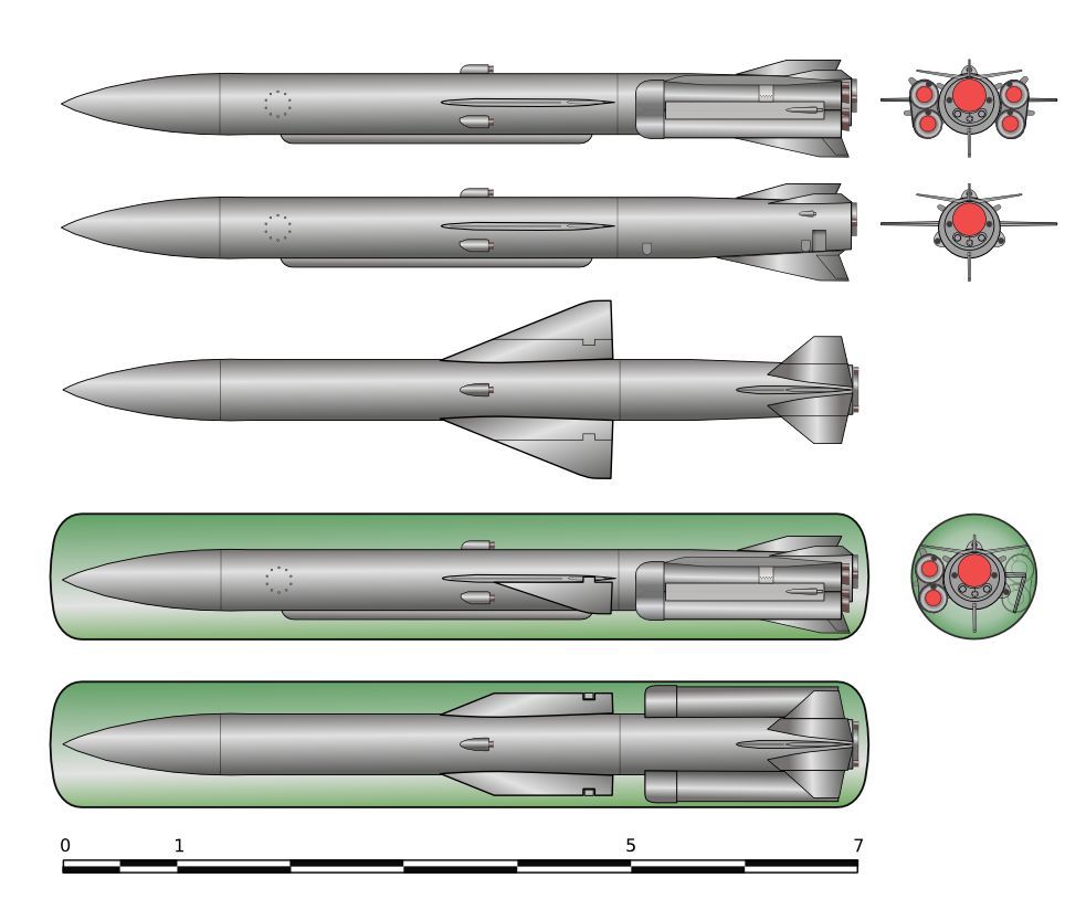 Золотая рыбка, плавающая быстрее акулы - 5