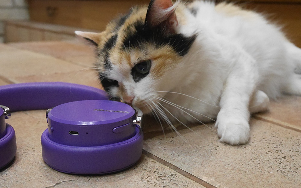 Bluedio Vinyl Premium: крутые хайтек-наушники в изящной ретро-шкуре и с «плавающими» чашками - 16 Bluedio Vinyl Premium: крутые хайтек-наушники в изящной ретро-шкуре и с «плавающими» чашками - 16