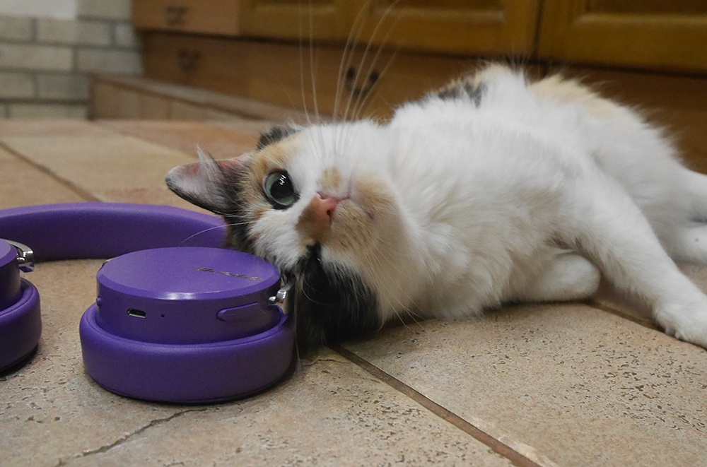 Bluedio Vinyl Premium: крутые хайтек-наушники в изящной ретро-шкуре и с «плавающими» чашками - 34 Bluedio Vinyl Premium: крутые хайтек-наушники в изящной ретро-шкуре и с «плавающими» чашками - 34